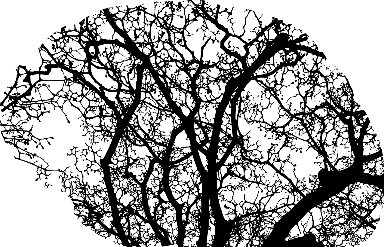 cropped-brain-2146817_1280.png